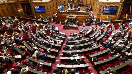 Loi Duplomb : le texte très critiqué validé au Sénat, avant l'ultime vote de l'Assemblée nationale