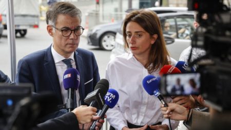 Marine Tondelier, Olivier Faure et Fabien Roussel demandent à Emmanuel Macron d'apporter une "aide humanitaire massive à la population gazaouie martyrisée"