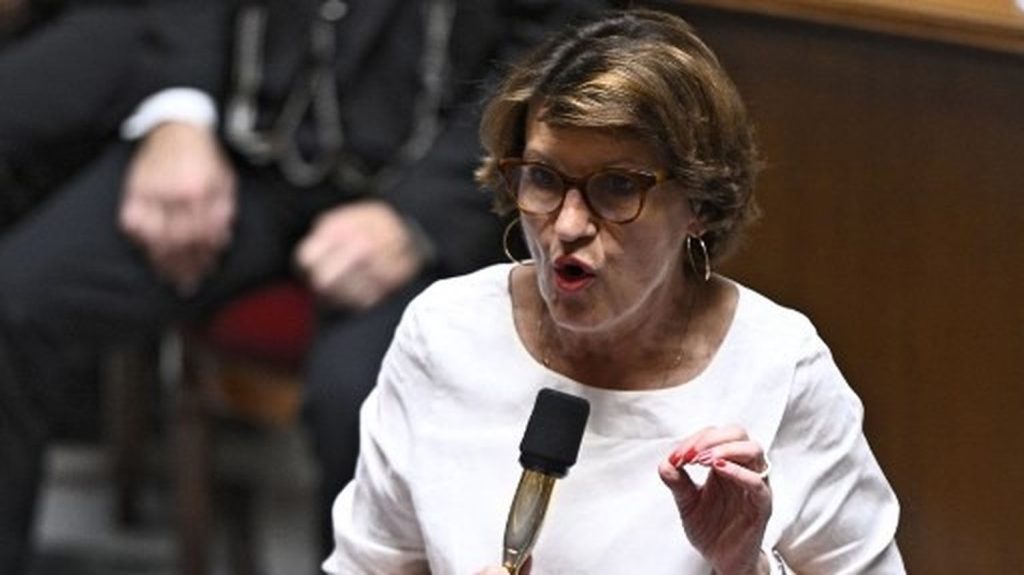 Pétition contre la loi Duplomb : le gouvernement est "pleinement disponible" pour un débat parlementaire, assure la ministre de l'Agriculture