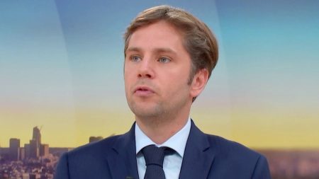 Pétition contre la loi Duplomb : "Je suis satisfait de voir qu'il y a cette mobilisation, il faut que le gouvernement l'entende", réagit Pieyre-Alexandre Anglade, député EPR
