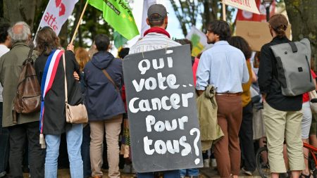 :
    Entretien




  



  




  
  Pétition contre la loi Duplomb : "En France, le pouvoir est extrêmement concentré et la participation citoyenne peu valorisée", selon Loïc Blondiaux