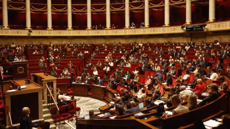 Depuis l'annonce de la reconnaissance de l'Etat de Palestine, aucune position commune au sein des alliés d'Emmanuel Macron