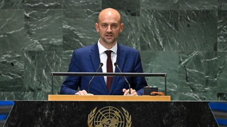 Reconnaissance de l'Etat de Palestine : à quoi va servir la conférence à l'ONU présidée par la France et l'Arabie saoudite