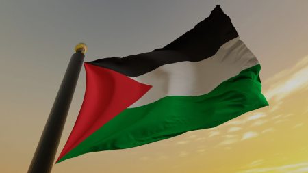 :
    Reportage




  



  




  
  Reconnaissance par la France de l'Etat de Palestine : "Ça ne change rien de manière concrète pour les gens qui vivent ici", jugent des Palestiniens de Cisjordanie