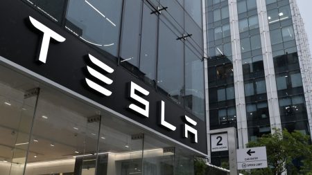 Tesla chute à Wall Street après la publication de mauvais chiffres au printemps, Elon Musk annonce "quelques trimestres difficiles"