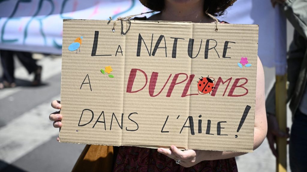 Censure de la loi Duplomb : pourquoi la décision du Conseil constitutionnel constitue une consécration pour la Charte de l'environnement