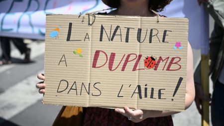 Censure de la loi Duplomb : pourquoi la décision du Conseil constitutionnel constitue une consécration pour la Charte de l'environnement