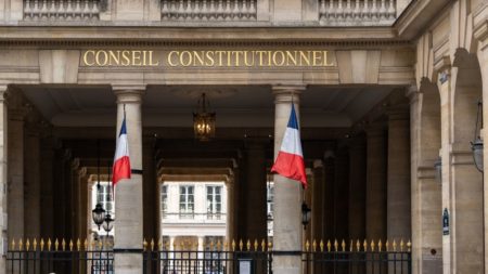 Loi Duplomb, reconstruction de Mayotte, municipales... Ces textes sur lesquels les décisions du Conseil constitutionnel sont très attendues jeudi