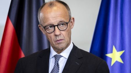 Guerre dans la bande de Gaza : l'Allemagne appelle Israël à poursuivre la livraison d'aide humanitaire malgré la publication des vidéos d'otages