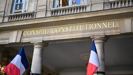Loi Duplomb : le Conseil constitutionnel censure la réintroduction de l'acétamipride, un pesticide interdit, au nom de la Charte de l’environnement