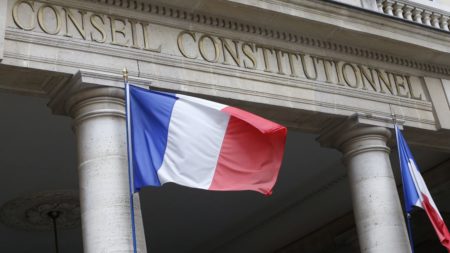"Inacceptable et incompréhensible", "très soulagée"… Les réactions après la décision du Conseil constitutionnel sur la loi Duplomb