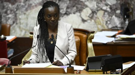 La vice-présidente de l'Assemblée nationale, Nadège Abomangoli, porte plainte pour injures racistes et sexistes