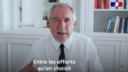 "Ça permet d'être dans le vent, d'être tendance" : les réseaux sociaux, un porte-voix efficace pour les politiques ?