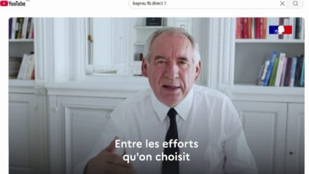 "Ça permet d'être dans le vent, d'être tendance" : les réseaux sociaux, un porte-voix efficace pour les politiques ?
