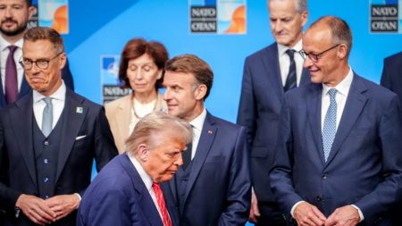 Guerre en Ukraine : pourquoi le président finlandais peut être un atout dans les négociations entre l'Europe et Washington, avant la rencontre Trump-Zelensky ?