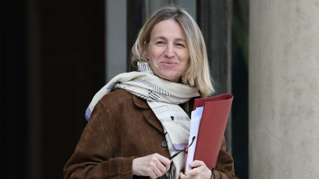 Accusée d'abus de biens sociaux, Astrid Panosyan-Bouvet, ministre du Travail démissionnaire, dépose plainte pour "dénonciation calomnieuse"