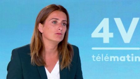 Vote de confiance : "Emmanuel Macron n'a pas d'autre choix que de nous nommer", assure Marine Tondelier, secrétaire nationale des Ecologistes