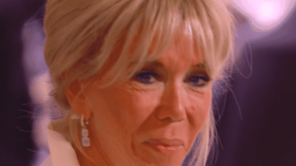 Brigitte Macron, Première dame face aux complotistes et fake news Brigitte Macron, une Première dame face aux complotistes et aux fake news