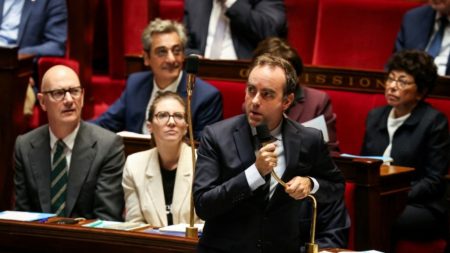 Guérilla parlementaire par article : débats budgétaires à l’Assemblée sans 49.3 "Une guérilla parlementaire pour chaque article" : comment les discussions budgétaires vont se dérouler à l'Assemblée, sans 49.3