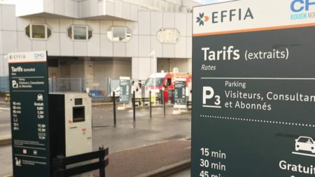 Parkings gratuits dans les hôpitaux : proposition de loi pour patients et proches Hôpitaux : une proposition de loi pour rendre les parkings gratuits pour les patients et leurs proches