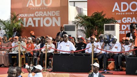 "Ça peut créer des divisions sans même que l'on s'en rende compte" : l'élection présidentielle en Côte d'Ivoire perturbée par l'IA au service de la désinformation