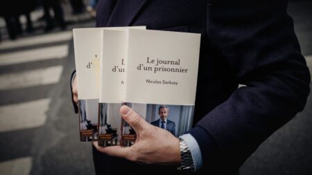 Nicolas Sarkozy, Jordan Bardella, Philippe de Villiers... Pourquoi les livres des personnalités politiques de droite et d'extrême droite se vendent aussi bien