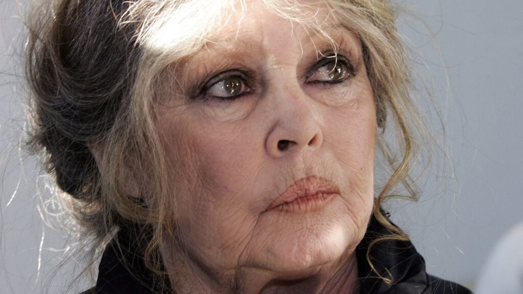Brigitte Bardot: mort, les politiques se divisent sur l’hommage national Mort de Brigitte Bardot : les politiques se divisent sur la question d'un hommage national