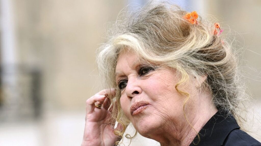 :
    Édito



  



  




      

  

  
                    



  


      :
    Édito



  



  




    
    Brigitte Bardot, star populaire et symbole de l’extrême droite