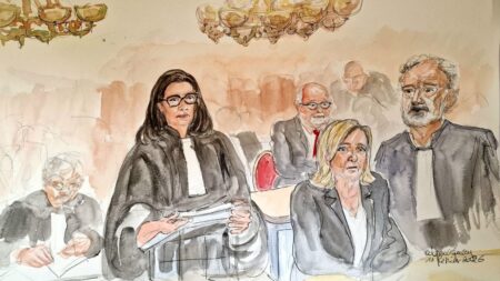 Marine Le Pen: au procès en appel, avocats plaident la relaxe "Si l'affaire n'est pas politique, les conséquences le sont" : au procès en appel de Marine Le Pen, ses avocats plaident la relaxe