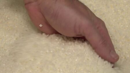 Dans l'Ain, la filière du plastique touchée de plein fouet par le conflit au Moyen-Orient