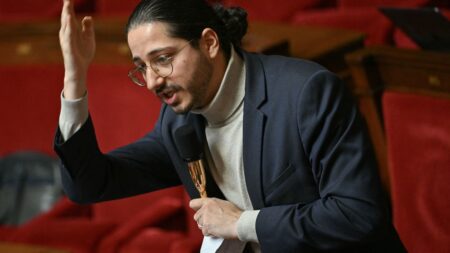 LFI classée à "l'extrême gauche" : le député insoumis Aurélien Le Coq dénonce une décision du Conseil d'Etat "à la fois stupéfiante et indigente"