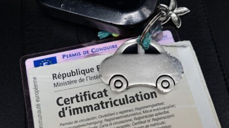 La privatisation des démarches de cartes grises a conduit à des "fraudes massives", selon la Cour des comptes