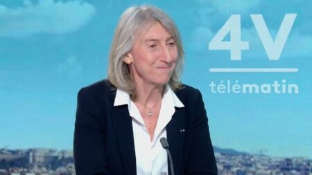"La violence ne devrait pas avoir sa place en politique. La politique, c’est travailler pour l’intérêt général", déclare Catherine Chabaud, ministre déléguée chargée de la Mer et de la Pêche