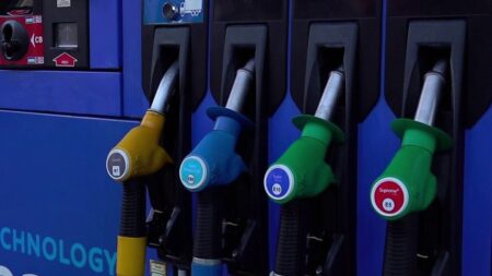 "Toujours bienvenue", "très différent d'une baisse généralisée"... Les aides de l'exécutif sur les carburants divisent