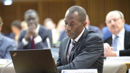 Le maire LFI Bally Bagayoko élu à la présidence d'une puissante intercommunalité en Seine-Saint-Denis