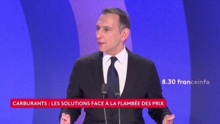 Carburants : "Le gouvernement parle, essaie de rassurer, mais ne fait rien", estime Laurent Jacobelli