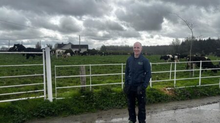 "Aujourd'hui, je suis en mode survie" : en Irlande, les éleveurs particulièrement touchés par la hausse des prix des carburants