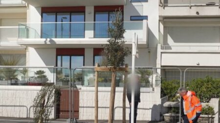 "On sera prêts à déplacer certains troncs d'arbres" : face à la levée de boucliers à La Baule contre la plantation de centaines d'arbres en bord de mer, la mairie tient à rassurer