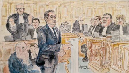 A son procès en appel, Nicolas Sarkozy regrette d'avoir parlé de "haine" après sa condamnation dans l'affaire libyenne