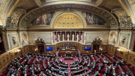 Le Sénat adopte une proposition de loi face au "pillage" des contenus culturels par l'IA