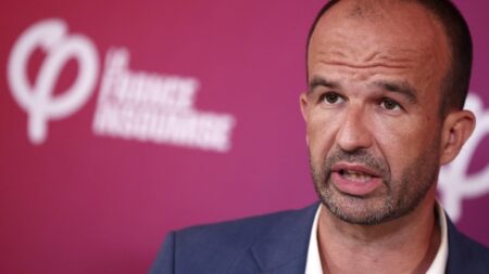 Le coordinateur de LFI Manuel Bompard plaide pour nationaliser TotalEnergies, et estime que l'opération serait "extrêmement rentable" pour l'Etat