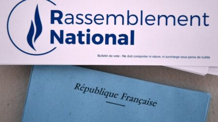 Élections municipales : l'extrême droite préside désormais 13 intercommunalités, contre quatre auparavant