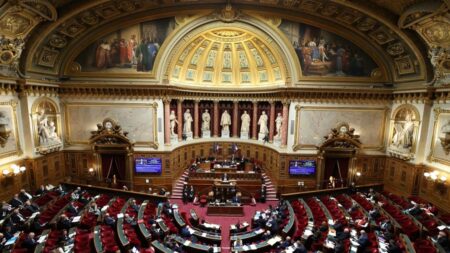 Fin de vie : le Sénat rejette une nouvelle fois le texte sur l'aide à mourir