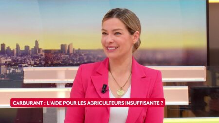 "Mabouls" qui voudraient "se fâcher avec l'Algérie" : "Emmanuel Macron se jette dans la guerre des adjectifs qui sont très méprisants et très insultants", réagit Céline Imart, vice-présidente LR
