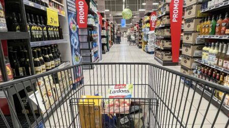 :
    Vrai ou faux



  



  




      

  

  
    Les prix de l'alimentation ont-ils augmenté de 25% en trois ans, et les prix de l'énergie de 50% depuis 2021 ?
          Le député socialiste, Philippe Brun, affirme que l'aide apportée aux travailleurs modestes grands rouleurs par le gouvernement n'est pas suffisante, surtout au vu du pouvoir d'achat que les Français ont perdu ces dernières années.